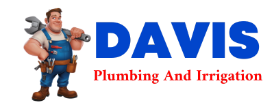 Trusted plumber in DAISYTOWN